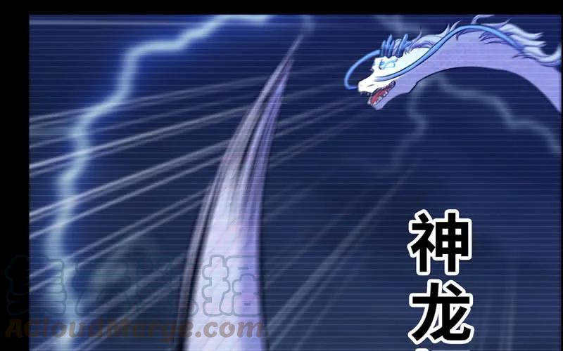 《开局一条鲲》北海被袭 第49页