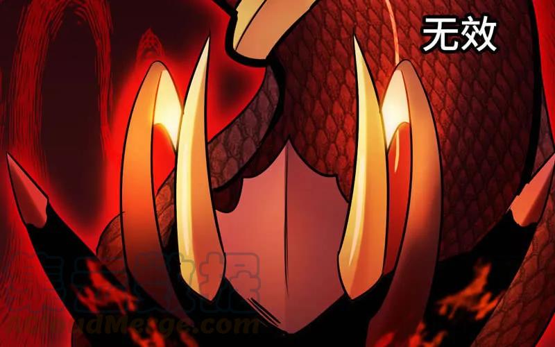 《开局一条鲲》实力碾压 第101页