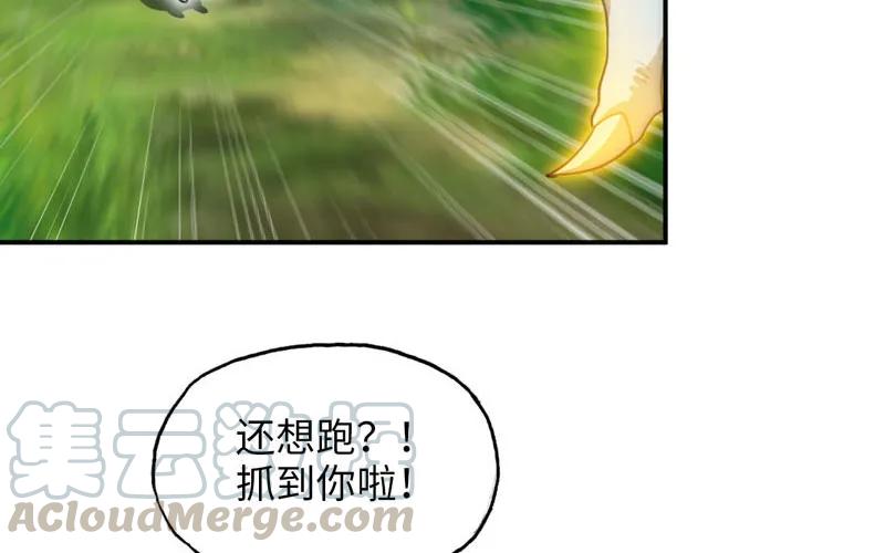 《开局一条鲲》实力碾压 第6页
