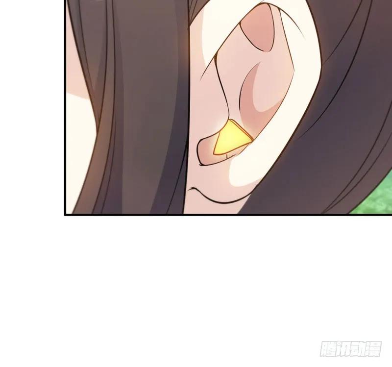 《开局一条鲲》38-再次出发 第67页