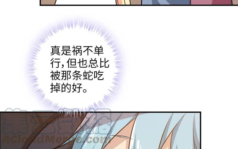 《开局一条鲲》红薯大夫 第51页