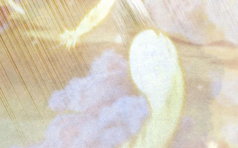 《开局一条鲲》53-鲲龙往事 第55页
