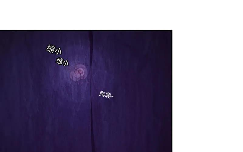 《开局一条鲲》59-靓鲲收靓 第31页