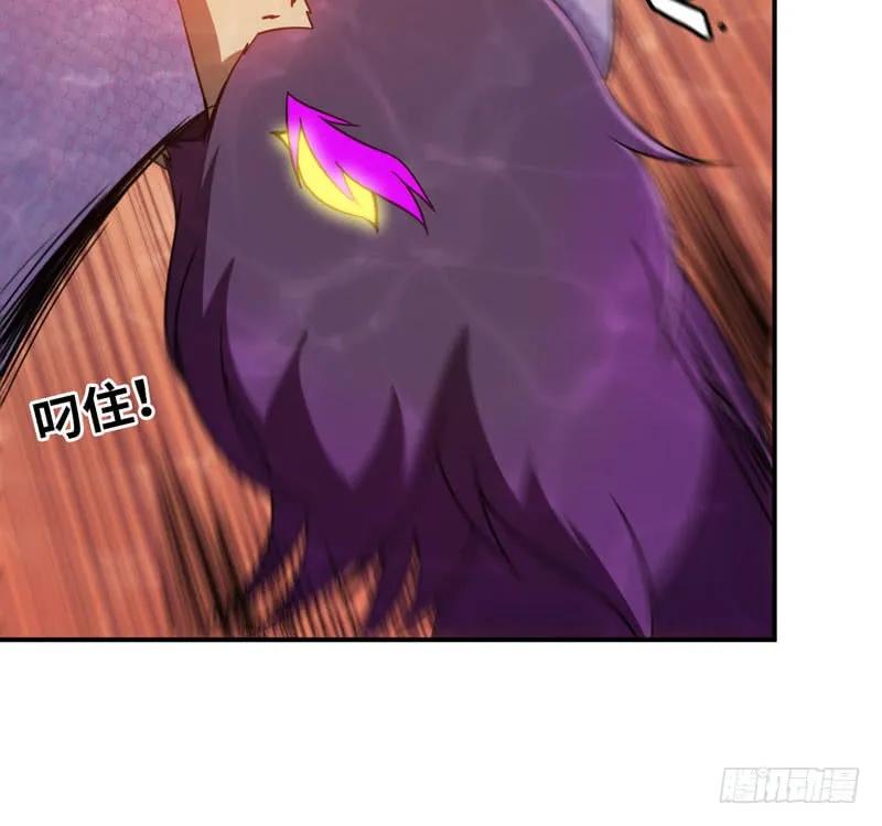 《开局一条鲲》59-靓鲲收靓 第60页