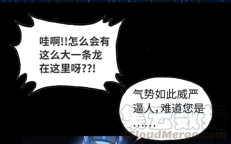 《开局一条鲲》70-祖龙王 第5页
