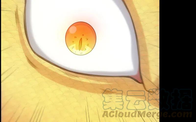 《开局一条鲲》70-祖龙王 第17页