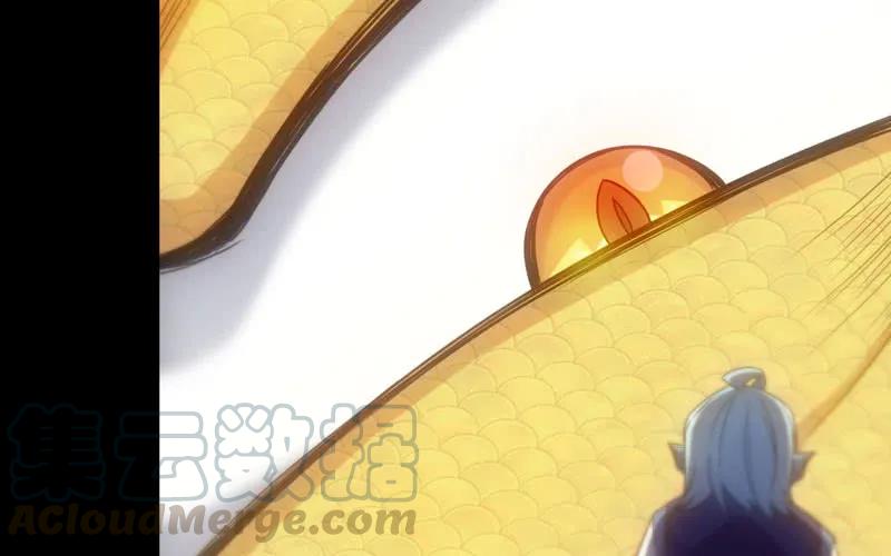 《开局一条鲲》70-祖龙王 第41页