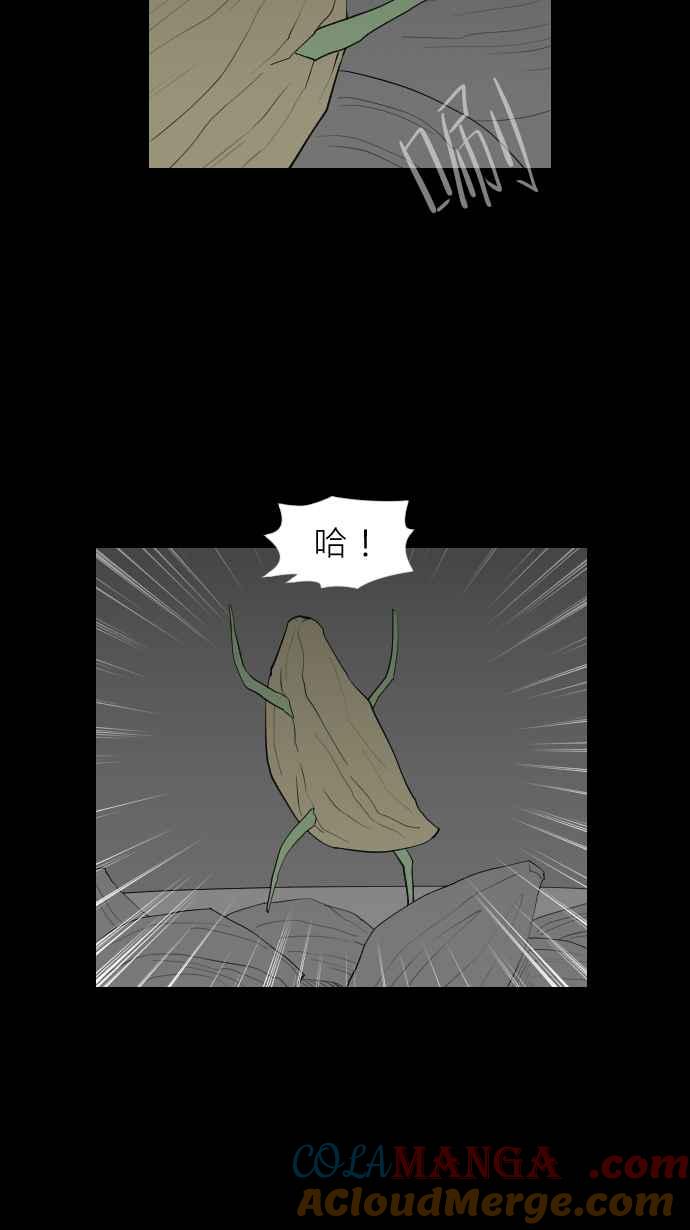 黑盒子 [第302话] 冻蒜(1) 第19页