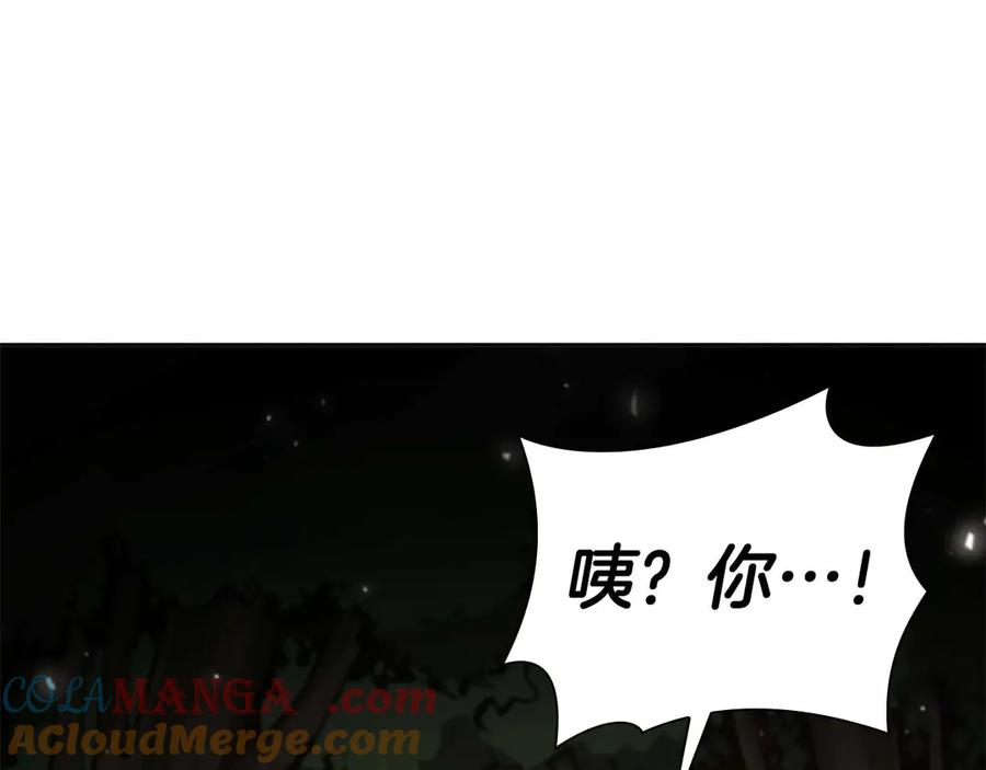 《重生后成为FFF级巫医》第46话 拥有的装备已经菠萝菠萝哒 第265页