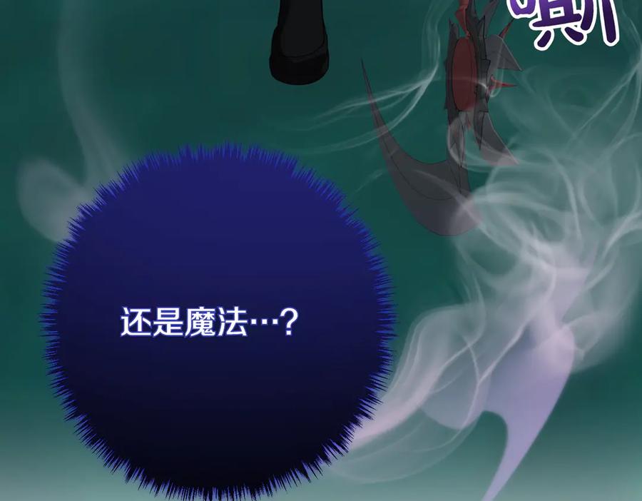 双胞胎姐姐的罢工宣言 第66话 瓮中捉鳖 第166页