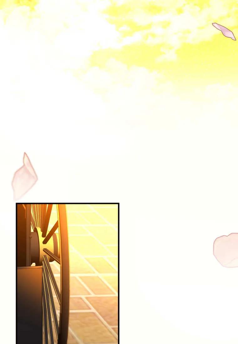 成为苏尔坦珍爱的猫咪 第74话 第84页