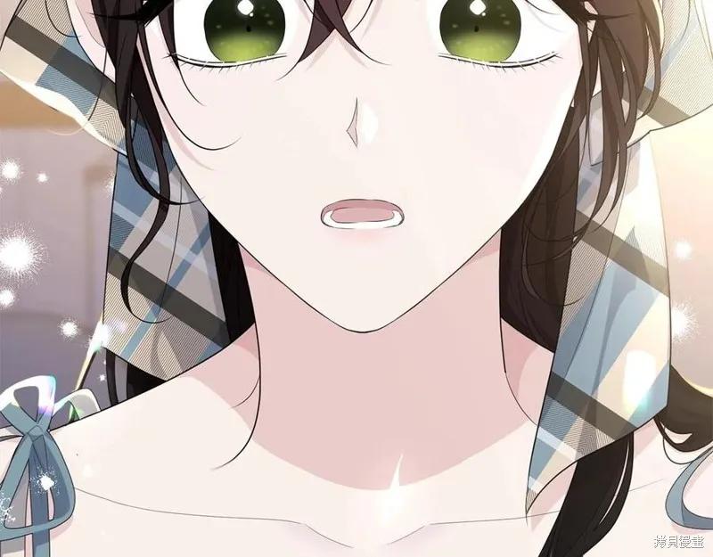 《明明是冷美人小姐却变成了忠犬大少爷》第75话 第94页