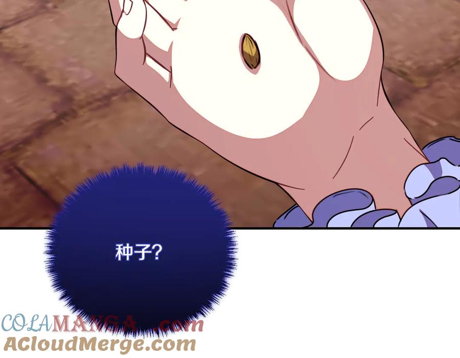 双胞胎姐姐的罢工宣言 第77话 神官作证 第205页