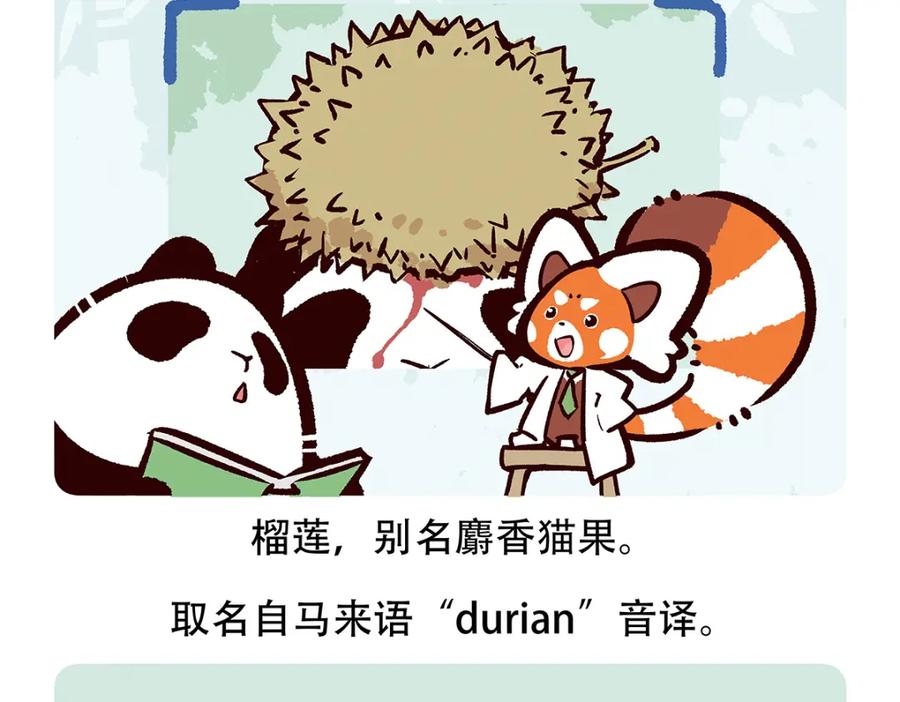 《胖达x胖达》第61话 第20页