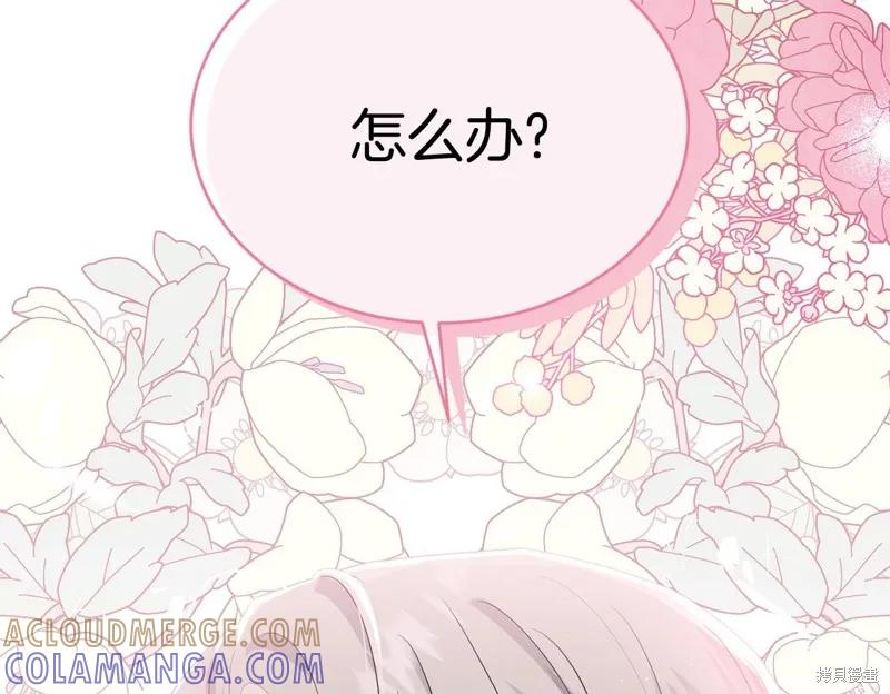《明明是冷美人小姐却变成了忠犬大少爷》第74话 第157页