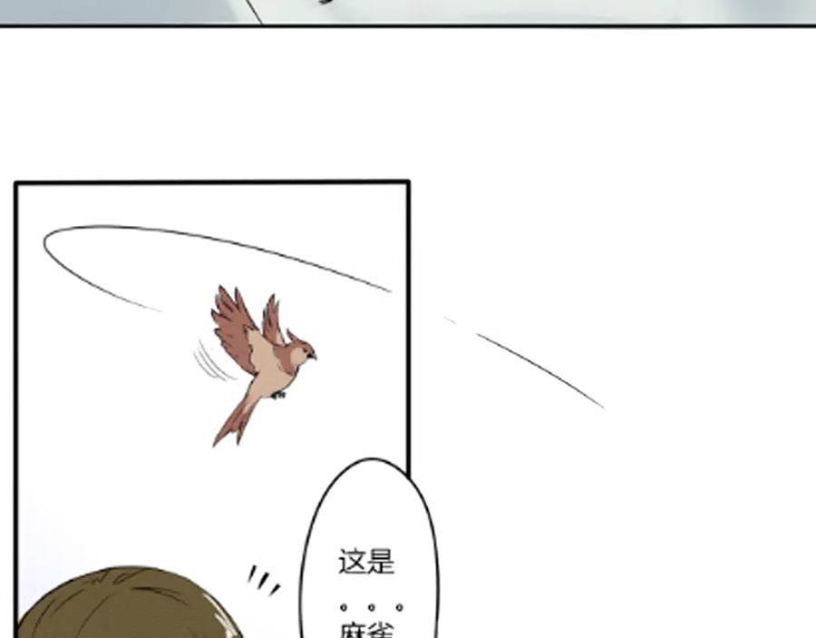 《此山彼云间》零 第12页