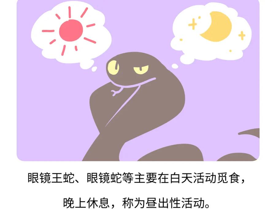 《胖达x胖达》第251话 第28页