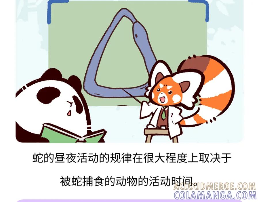 《胖达x胖达》第251话 第27页