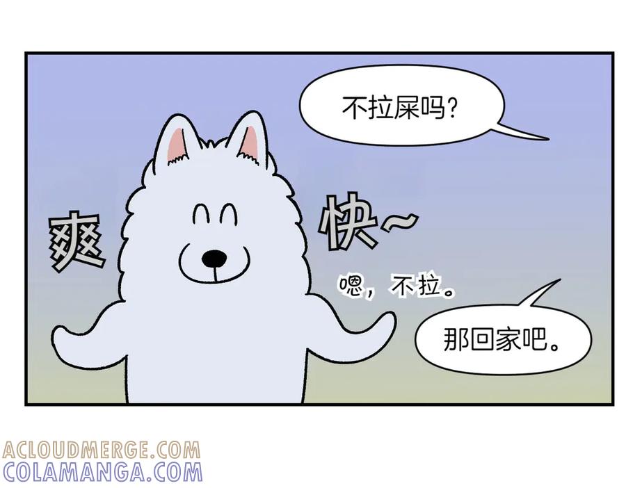 《我的狗子叫棉花》第59话 狗狗拉屎大王 第37页