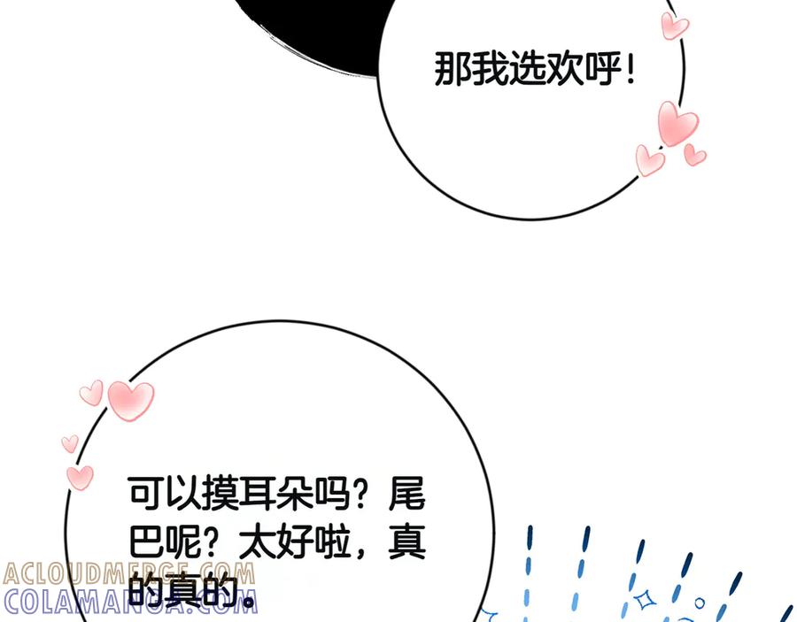 《和猛虎大人的恋爱旅行》第3话 不错的同伴 第137页