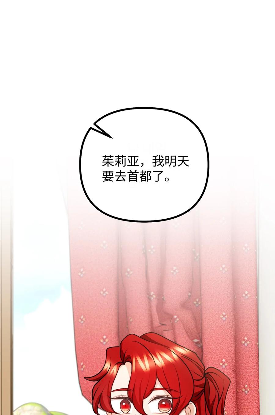看见鬼怪的公爵夫人 118 哥哥殒命 第29页