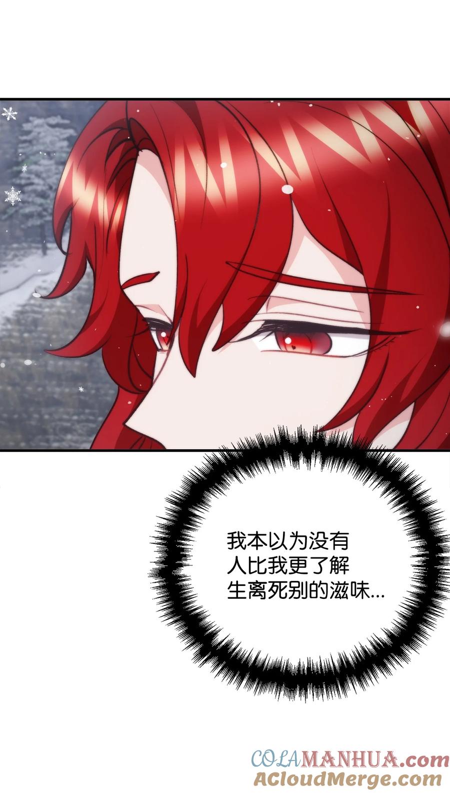 看见鬼怪的公爵夫人 119 公国独立 第28页