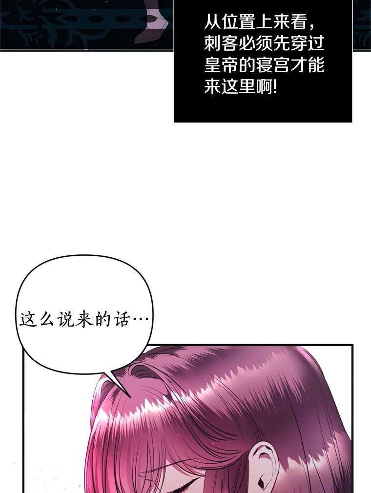 《与陛下同寝的生存法则》9.行刺失败 第47页
