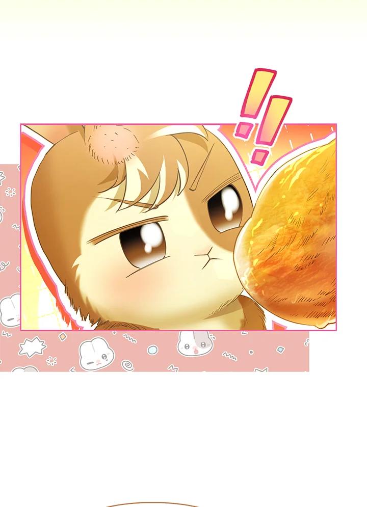 《反派千金的稻米栽培法》第11话 第4页