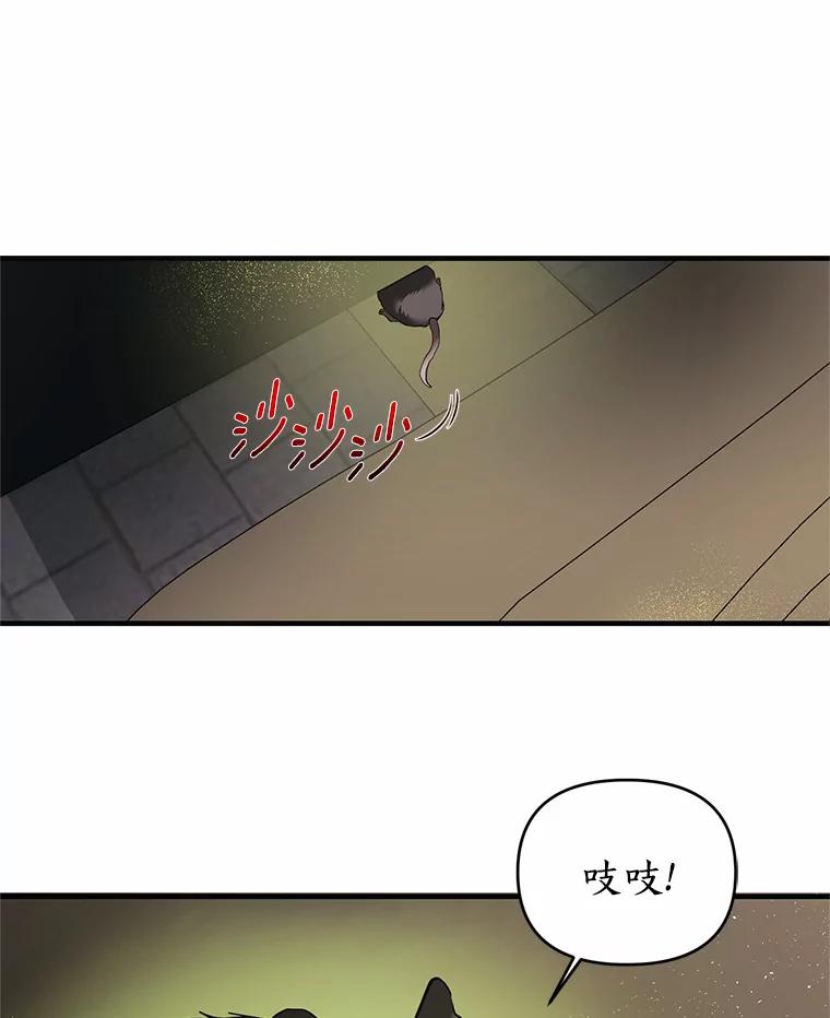 《与陛下同寝的生存法则》14.跟踪 第48页