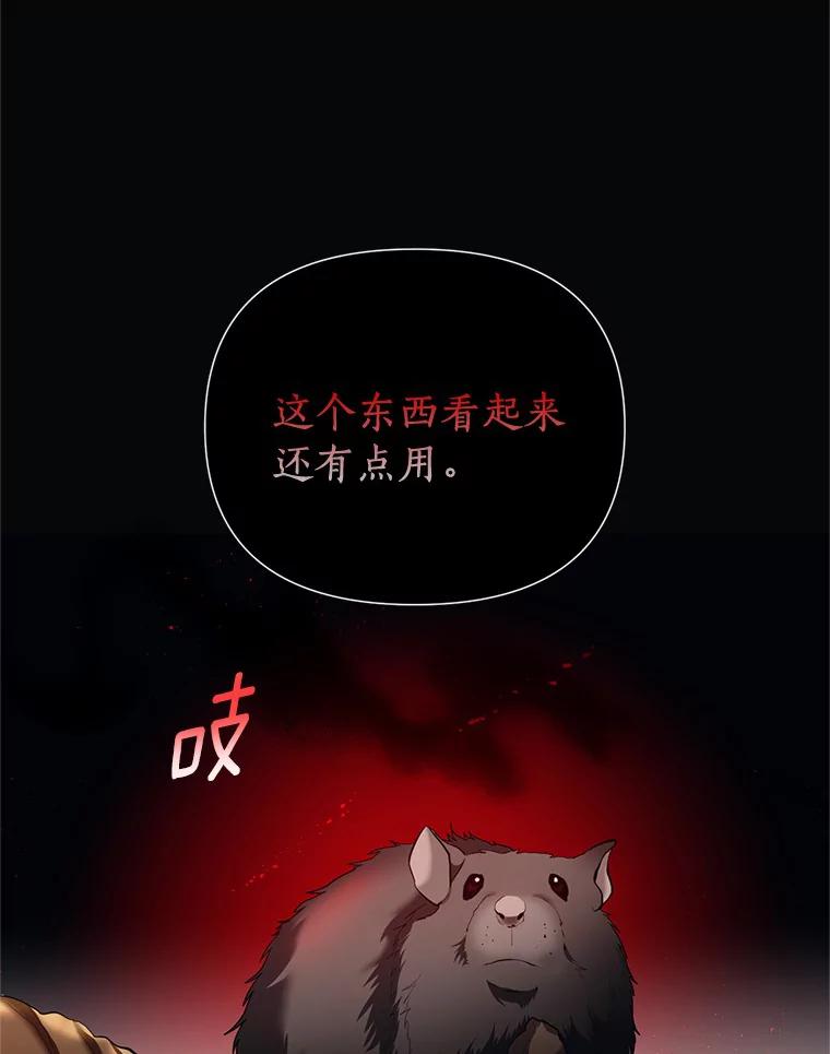 《与陛下同寝的生存法则》14.跟踪 第21页