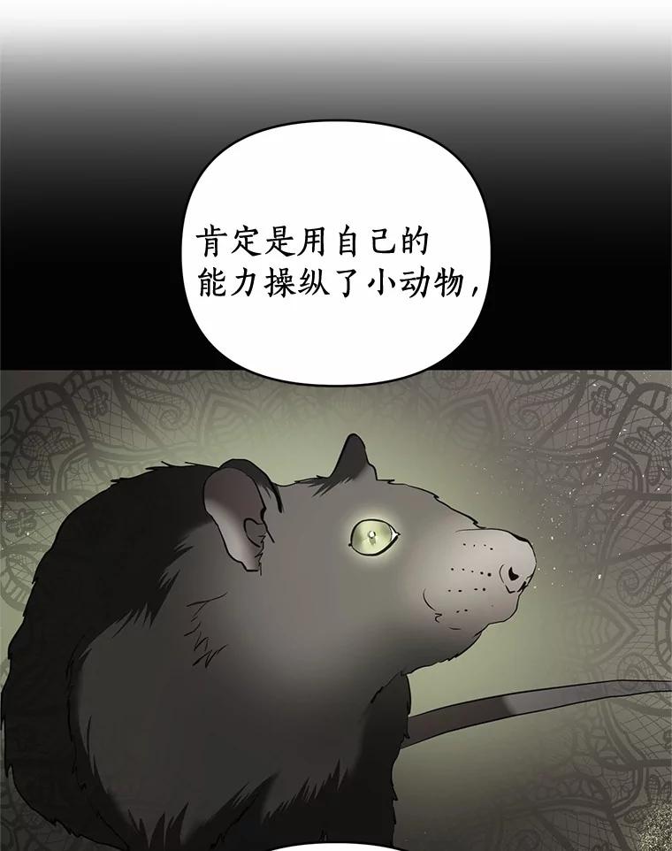 《与陛下同寝的生存法则》14.跟踪 第74页
