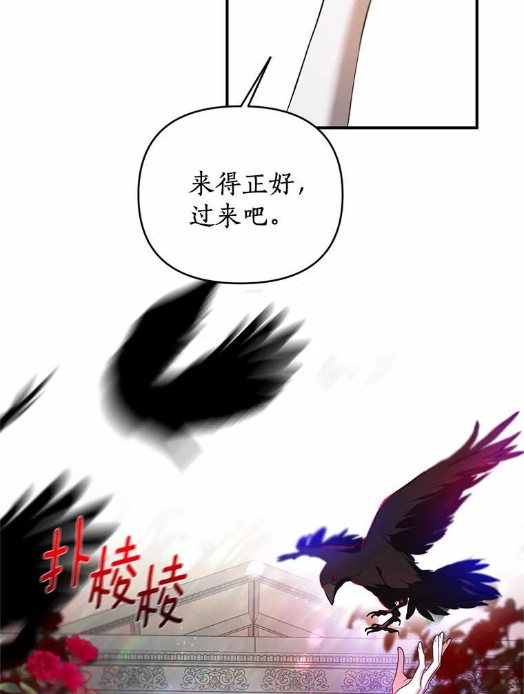 《与陛下同寝的生存法则》18.质问 第59页