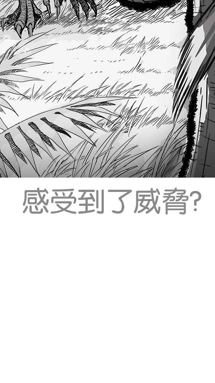 看脸时代 [第203话] 帝犬联盟 [05] 第50页