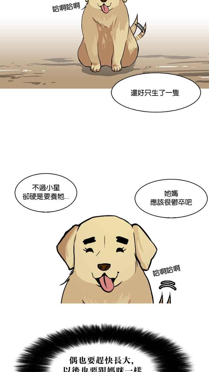 看脸时代 [第58话] 流浪犬 - 伊奴（1） 第3页
