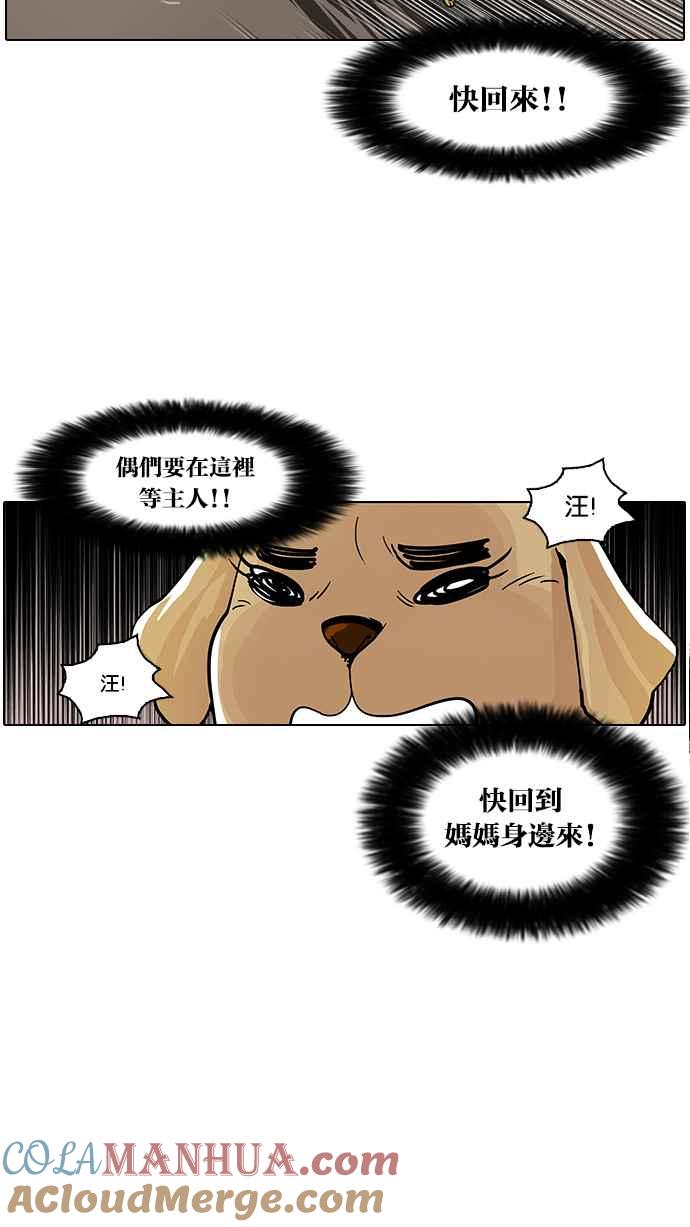 看脸时代 [第62话] 流浪犬 - 伊奴（结尾） 第37页
