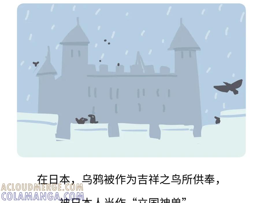 《胖达x胖达》第248话 第23页