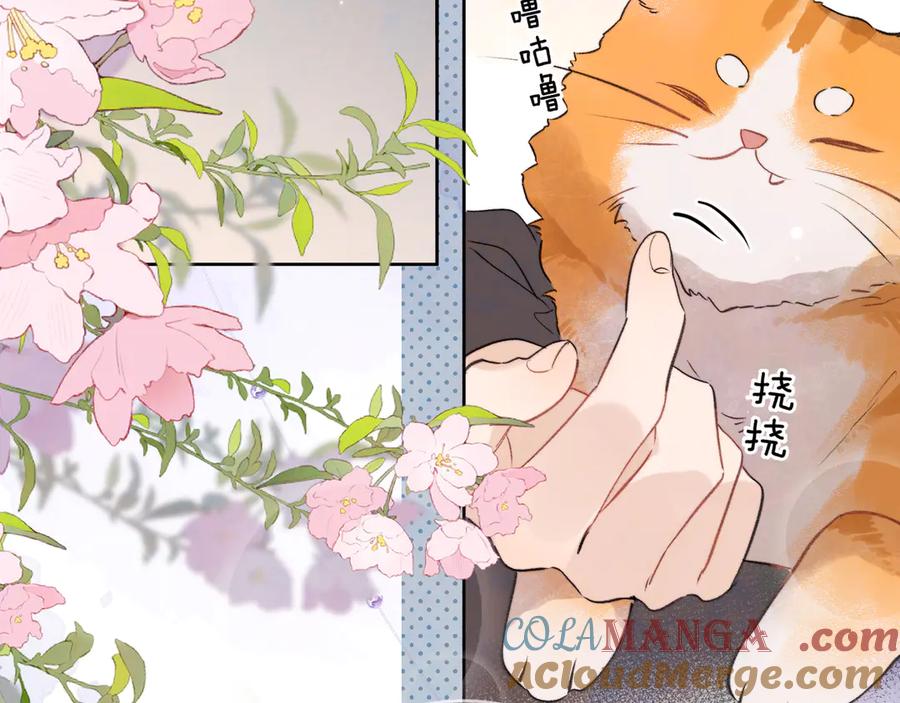 告白 第四十七话 你的猫？ 第82页
