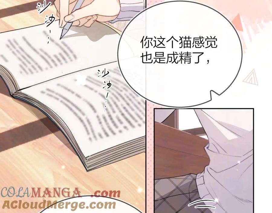 告白 第四十七话 你的猫？ 第49页