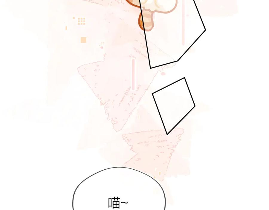 告白 第四十七话 你的猫？ 第69页