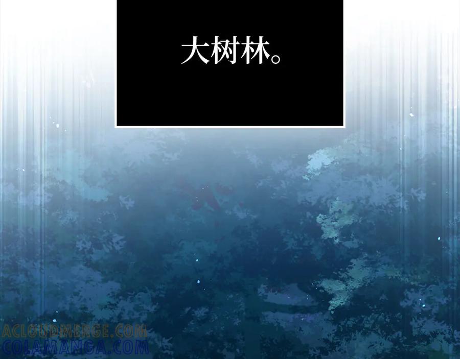 领主大人的金币用不完 - 第164话 精灵居住地 - 第85张图