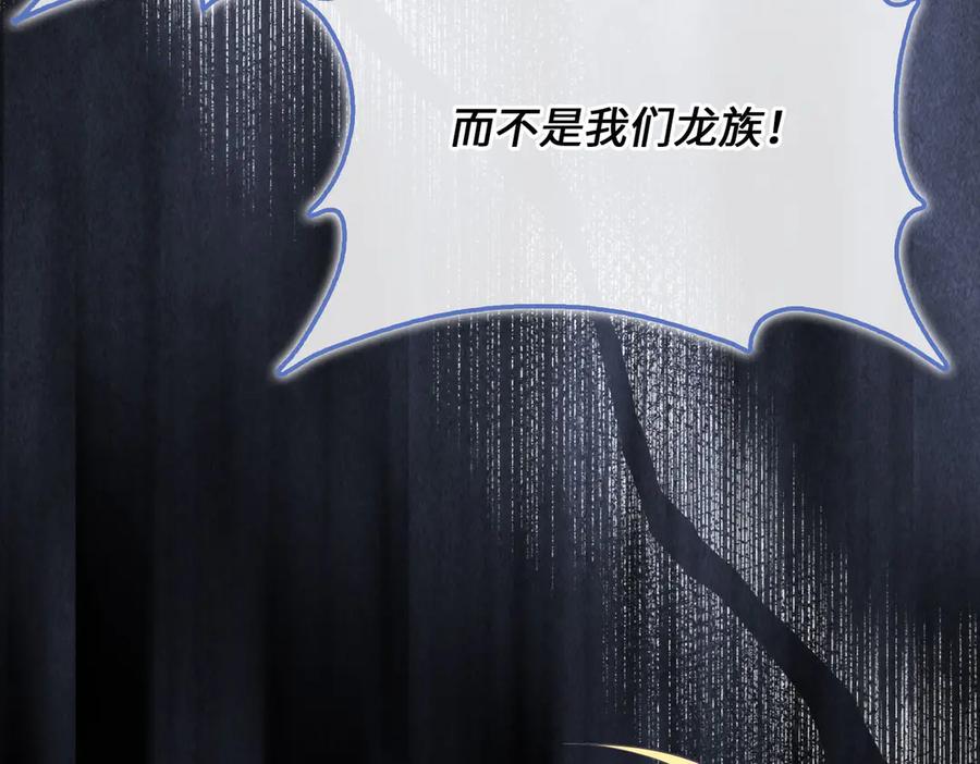 领主大人的金币用不完 - 第169话 龙族至上主义者 - 第210张图