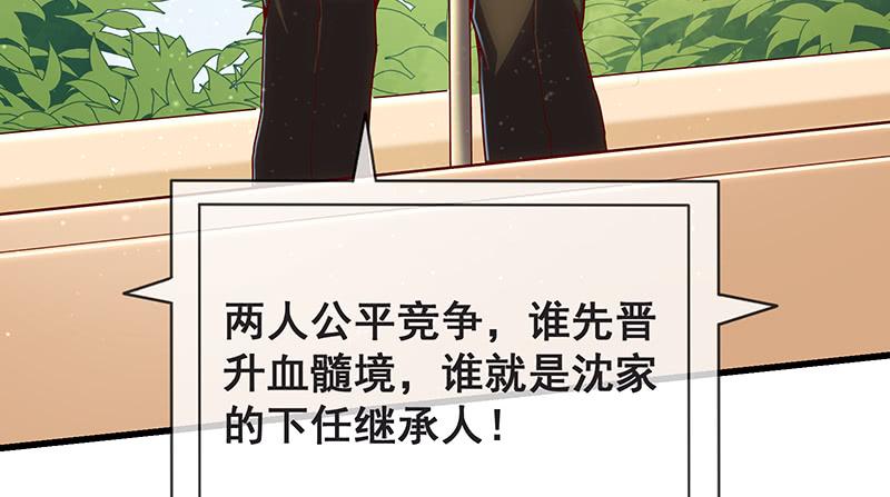 氪金大佬 - 沈家剧变 - 第73张图