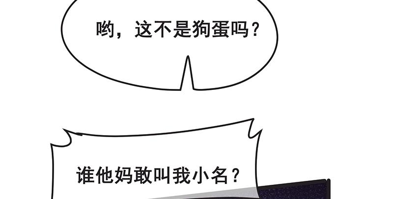 氪金大佬 - 沈家剧变 - 第28张图