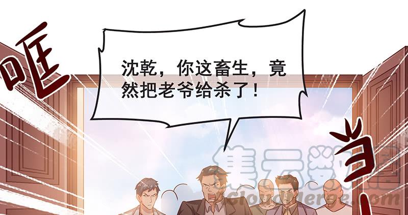 氪金大佬 - 沈家剧变 - 第127张图