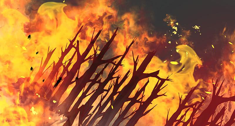 氪金大佬 - 蝗虫过境 - 第176张图