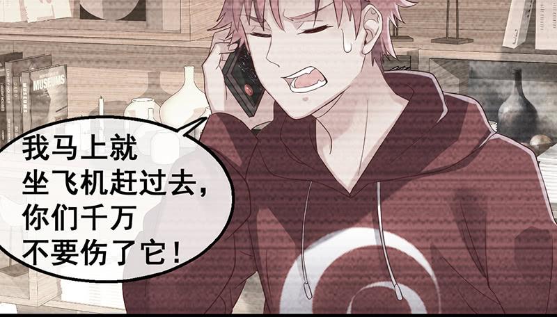 氪金大佬 - 阴暗中的敌人 - 第19张图