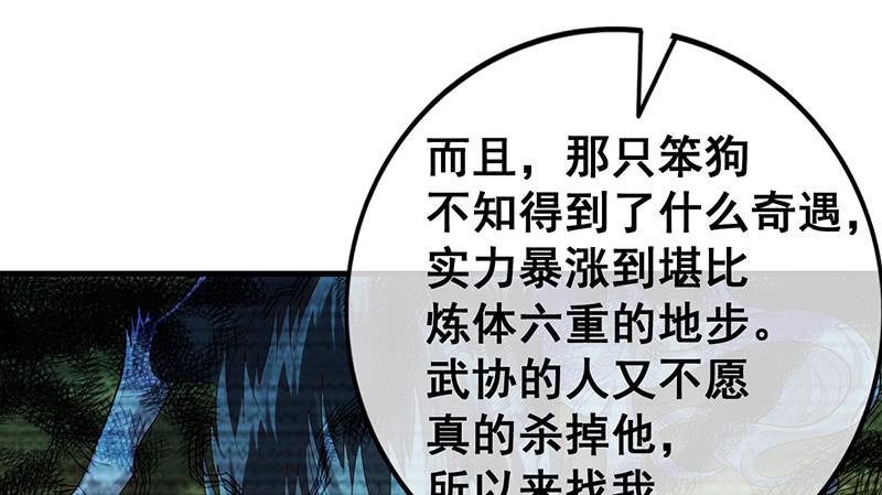 氪金大佬 - 阴暗中的敌人 - 第15张图