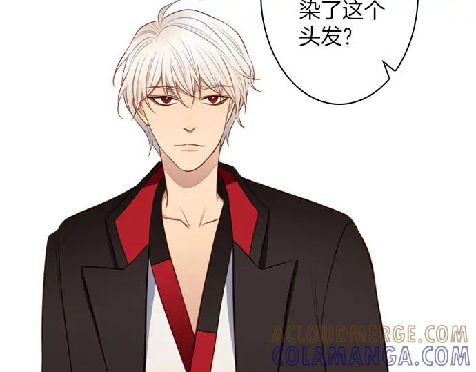 《第3次亲吻》第148话 回到西格尼亚 第37页