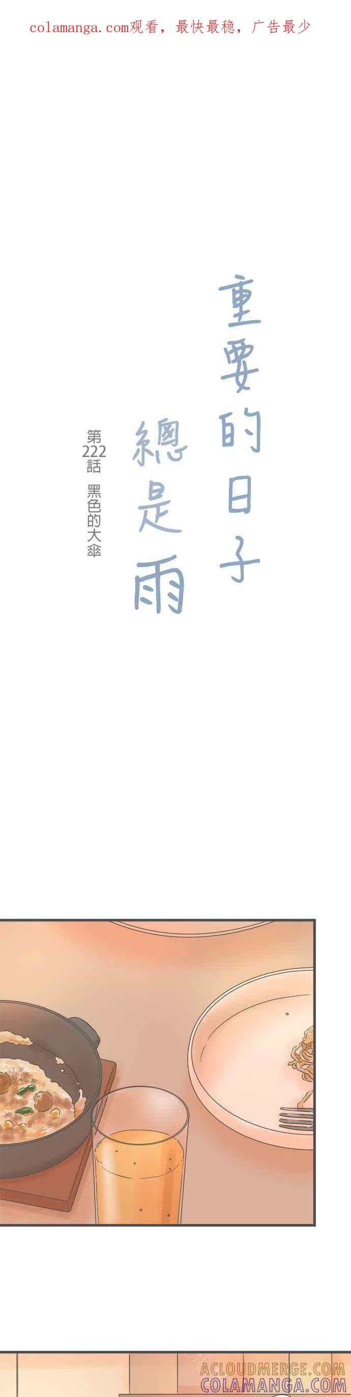 《重要的日子总是雨》第222话 黑色的大伞 第1页