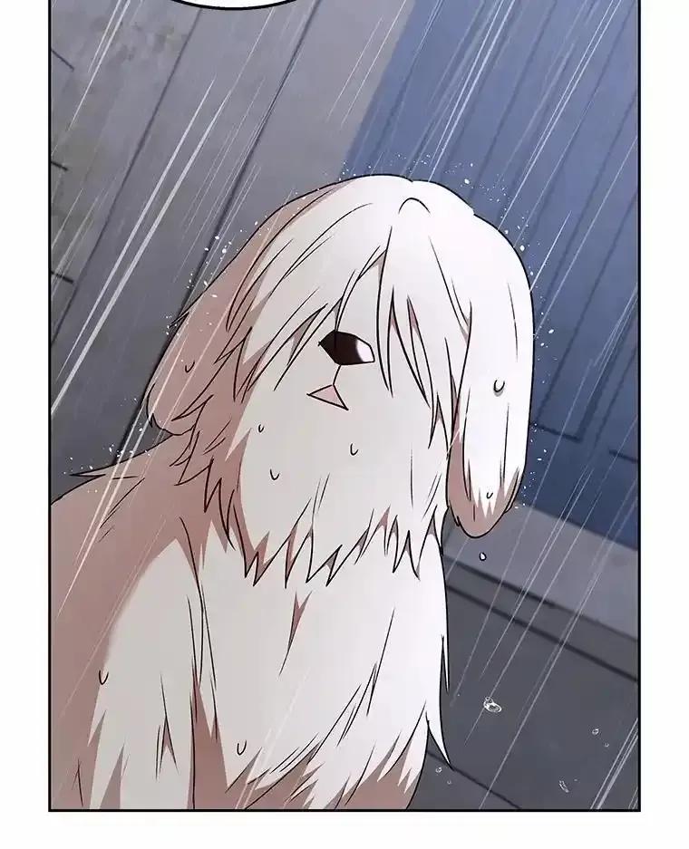《你好？兽医先生！》59.我们回家吧 第80页